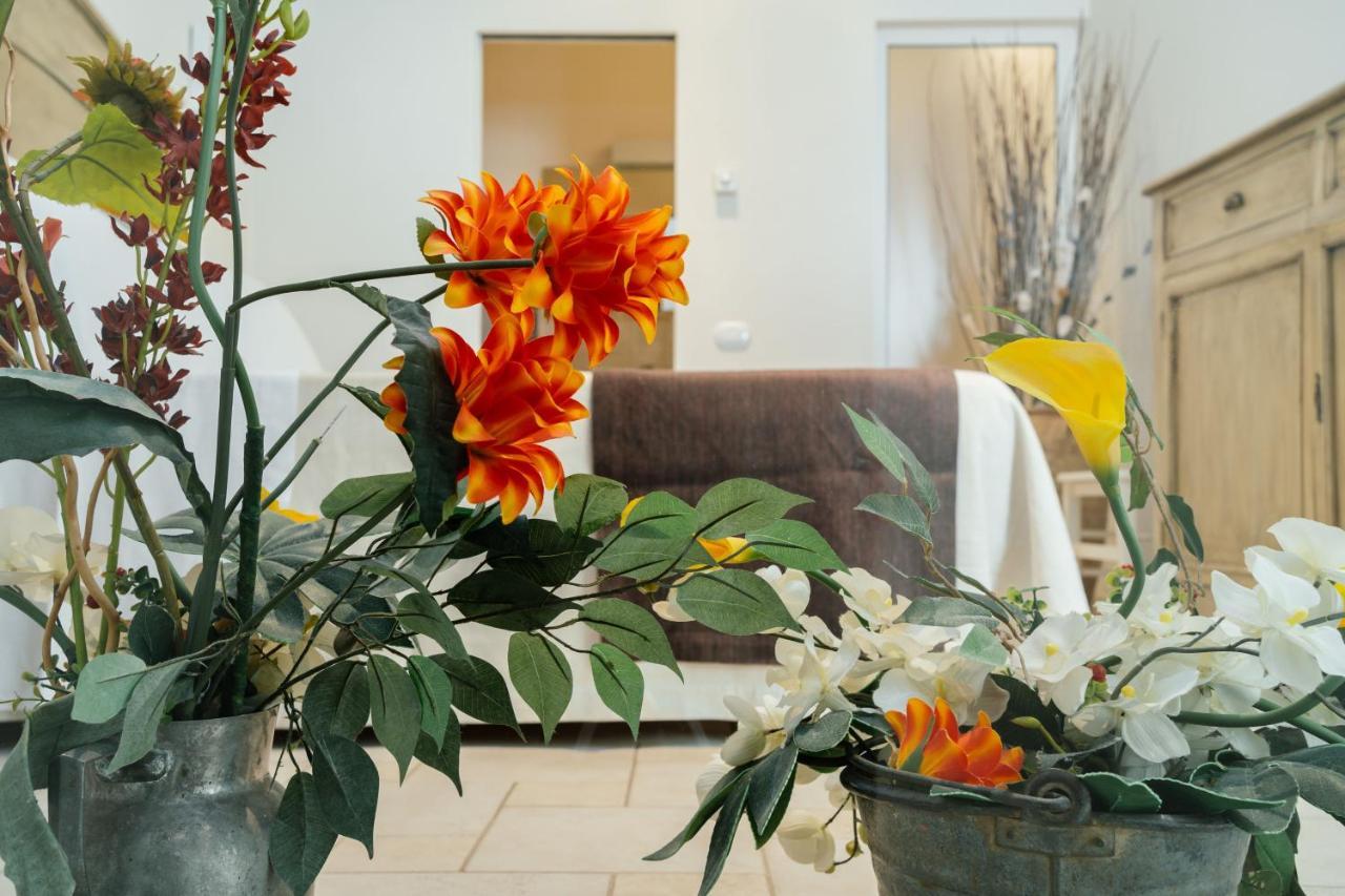 אלטאמורה Il Claustro - Bed And Breakfast מראה חיצוני תמונה